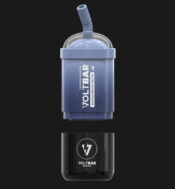 Voltbar Blackcurrant Melon